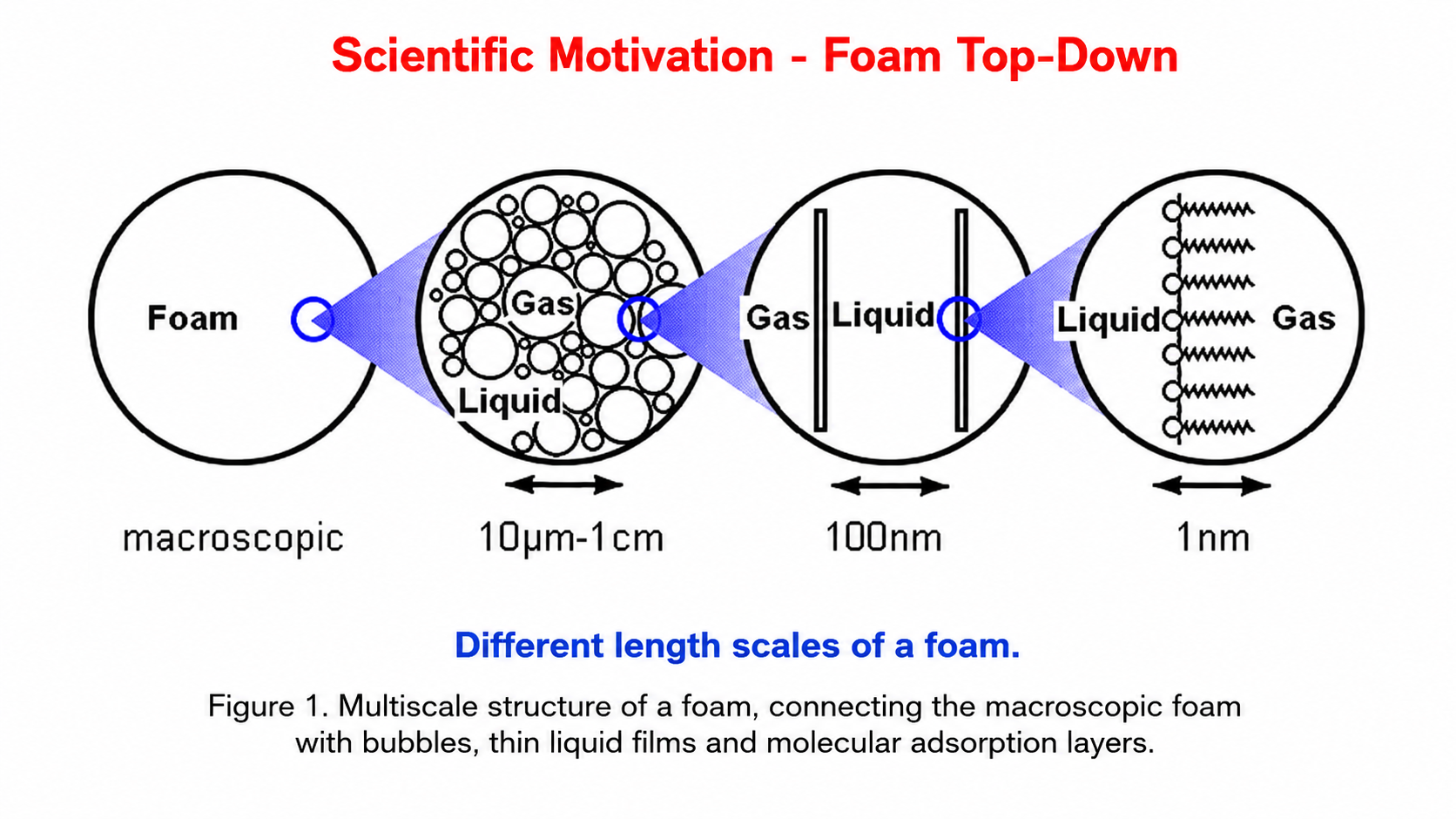 Multiscale structure of a foam from the macroscopic foam to bubbles, thin liquid films and molecular adsorption layers.